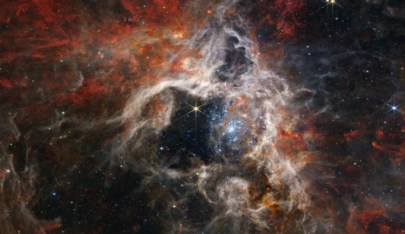 tarantula nebula's webb images