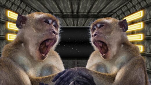 monkeys to zero-gravity space for mating
