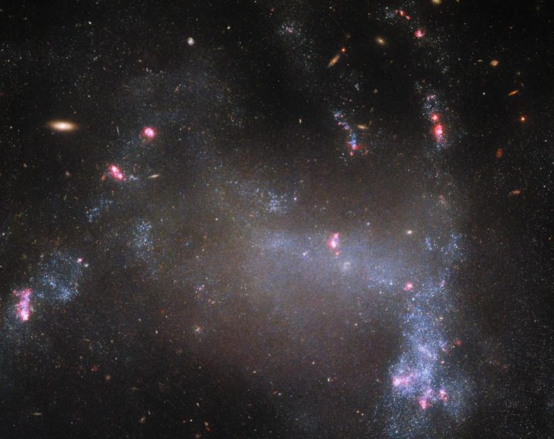 Hubble sees a new 'spider galaxy'