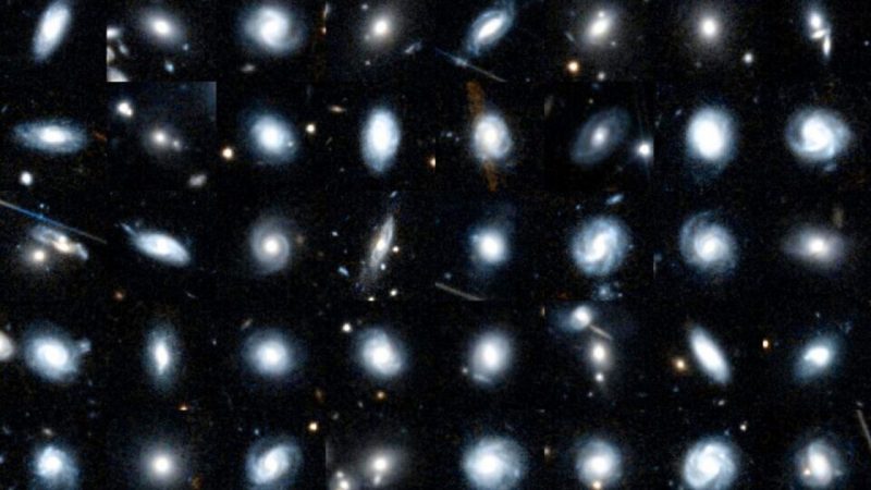 New citizen science project Euclid Galaxy Zoo: an opportunity to journey through the infinite universe