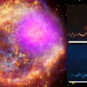 How close are we to distinguishing between black holes and neutron stars from stellar collapse using gravitational waves?