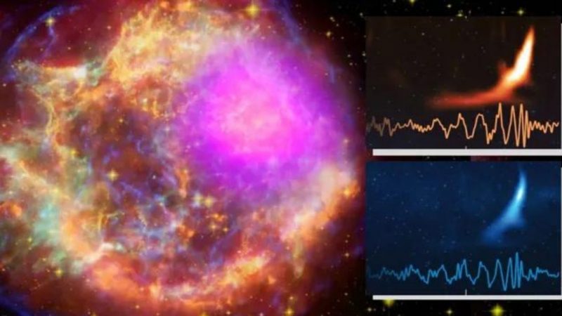 How close are we to distinguishing between black holes and neutron stars from stellar collapse using gravitational waves?